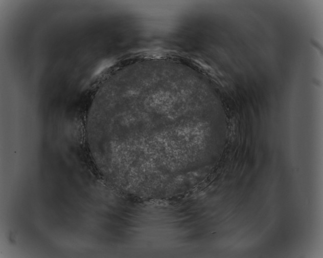 X0000092291446200710051153