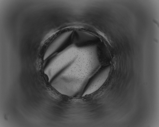 X0000092291448200710051153