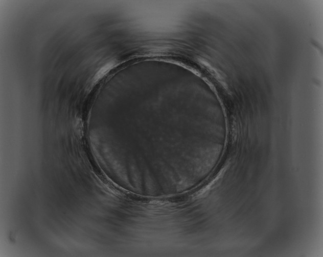 X0000092291449200710051153