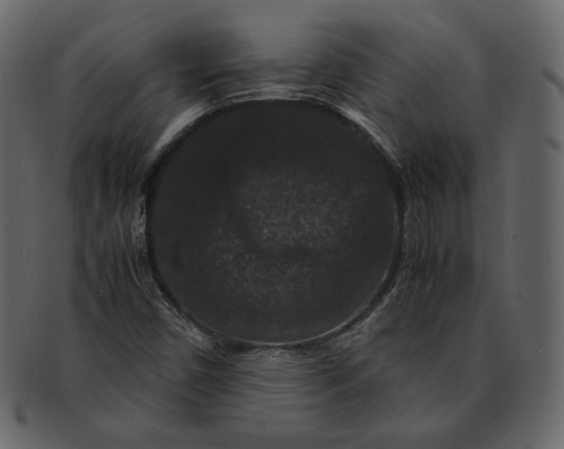 X0000092291450200710051153