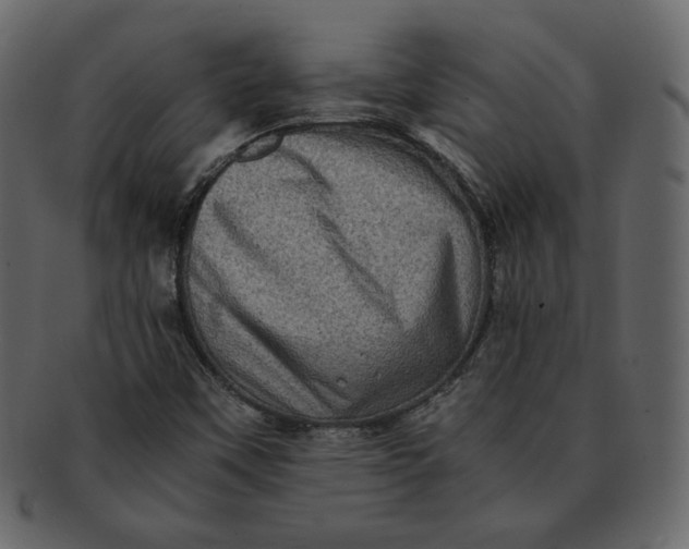 X0000092291451200710051153