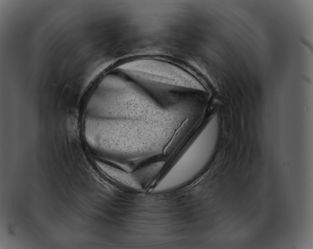 X0000092291452200710051153