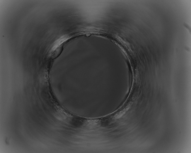 X0000092291453200710051153