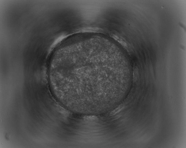 X0000092291454200710051153