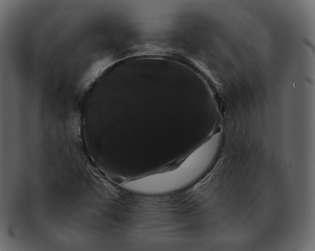 X0000092291455200710051153