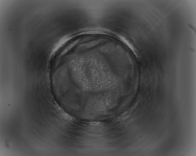 X0000092291456200710051153