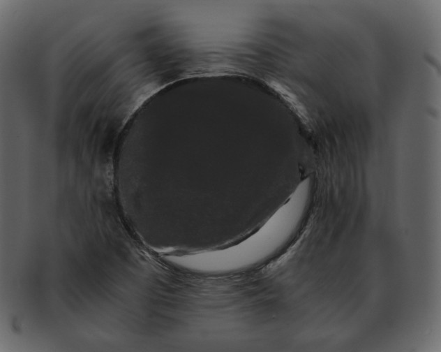 X0000092291457200710051153