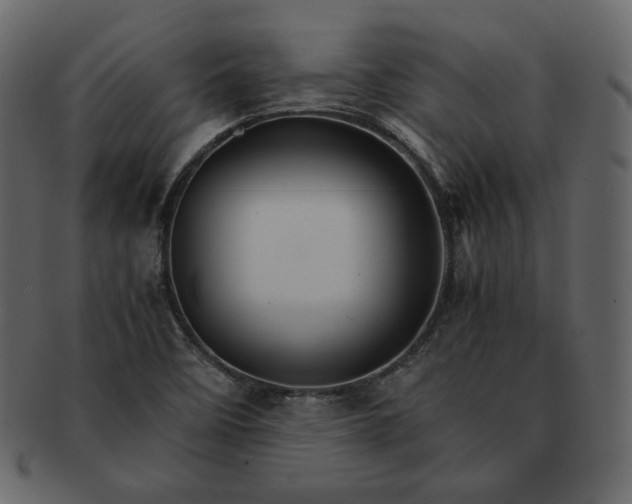 X0000092291458200710051153