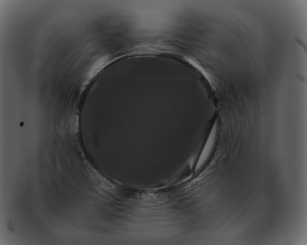 X0000092291459200710051153