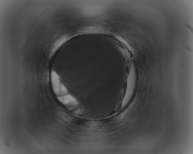 X0000092291461200710051153