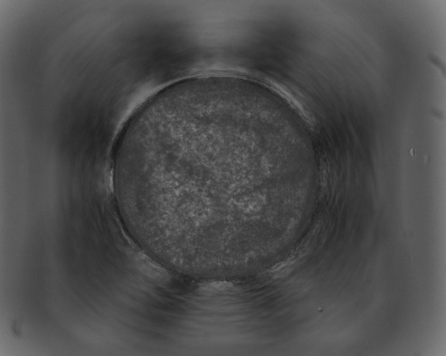 X0000092291462200710051153