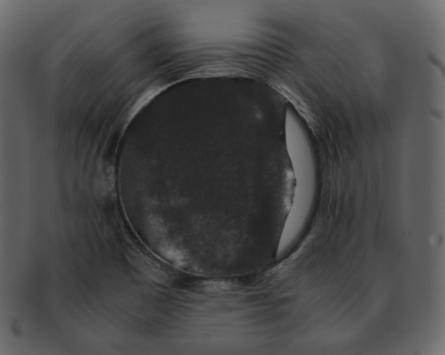 X0000092291465200710051153