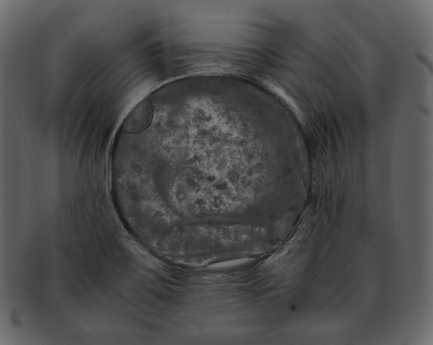 X0000092291467200710051153