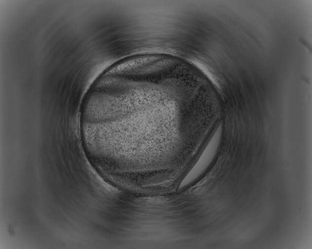 X0000092291468200710051153