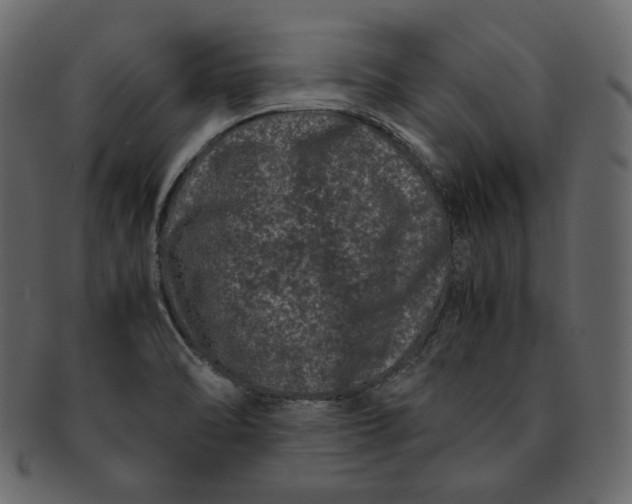 X0000092291470200710051153