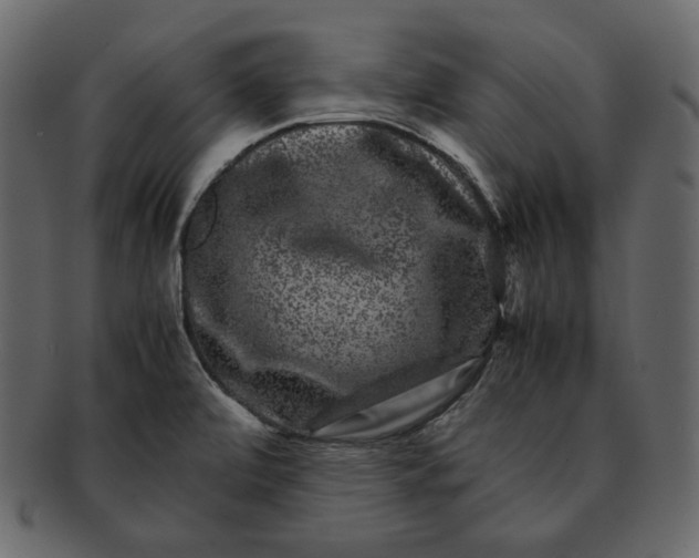 X0000092291472200710051153