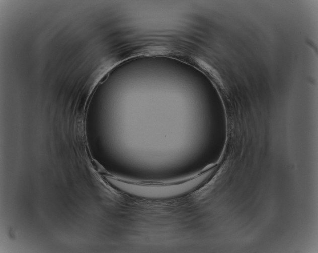 X0000092291473200710051153