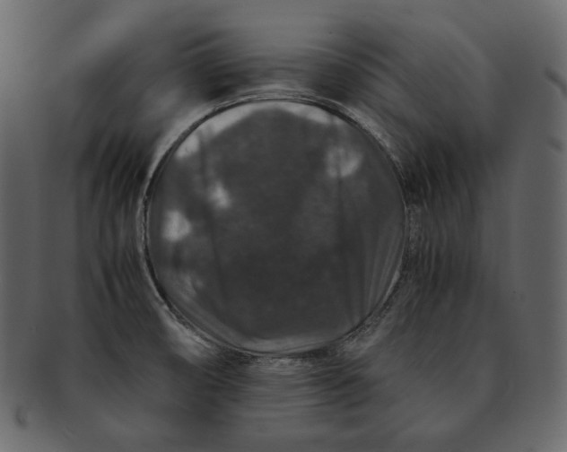 X0000092291474200710051153