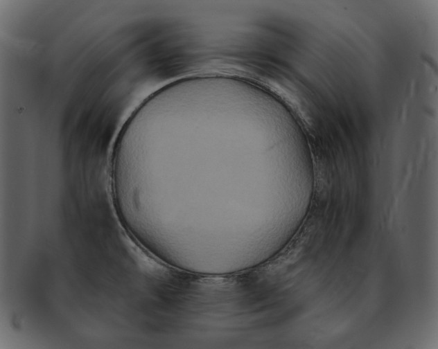 X0000092291478200710051153