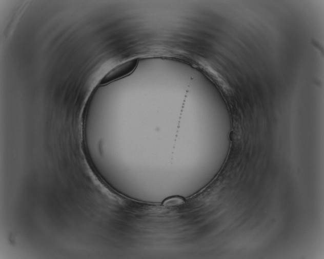 X0000092291479200710051153