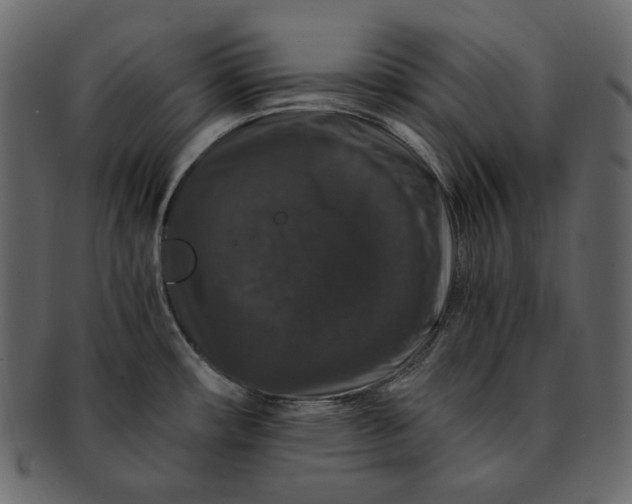 X0000092291482200710051153