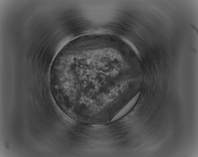 X0000092291483200710051153