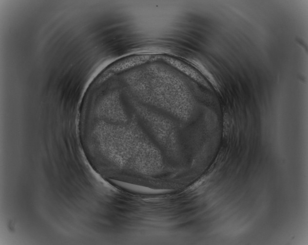 X0000092291484200710051153