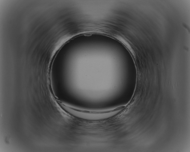 X0000092291485200710051153