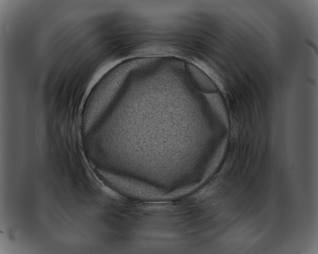 X0000092291486200710051153