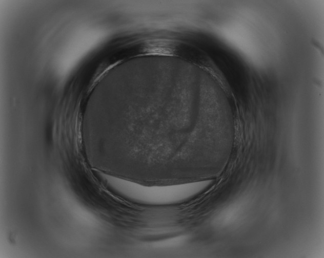 X0000092291487200710051153