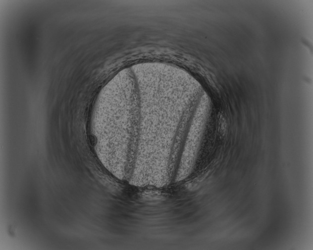 X0000092291489200710051152