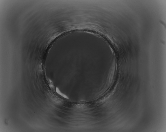 X0000092291497200710051152