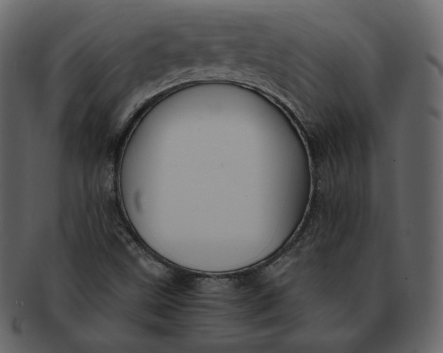 X0000092291499200710051152