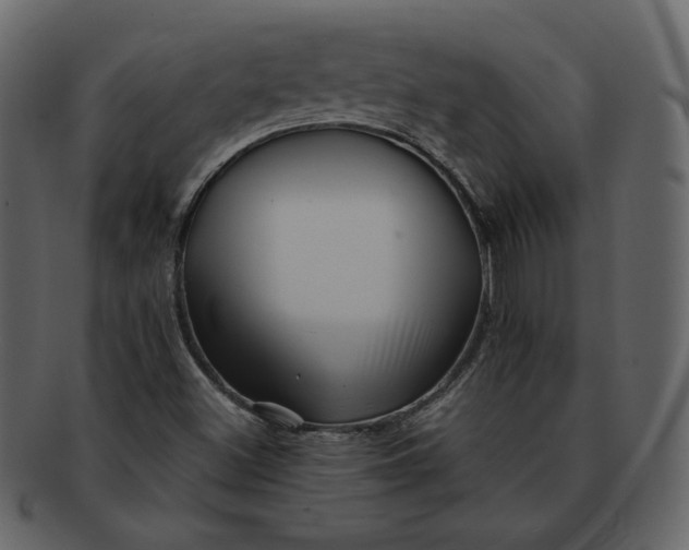 X0000092291500200710051152