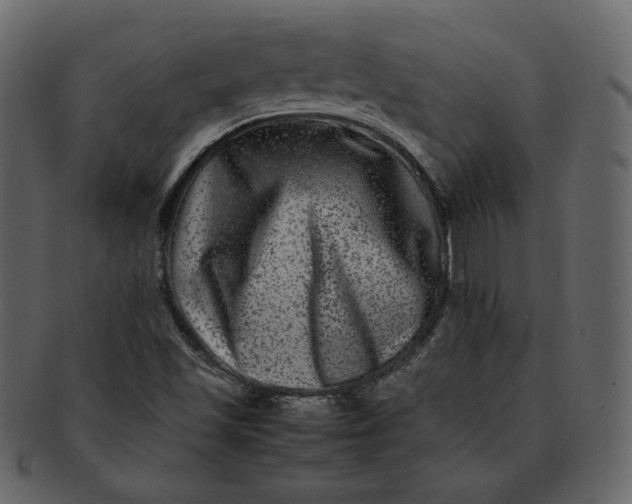 X0000092291501200710051152