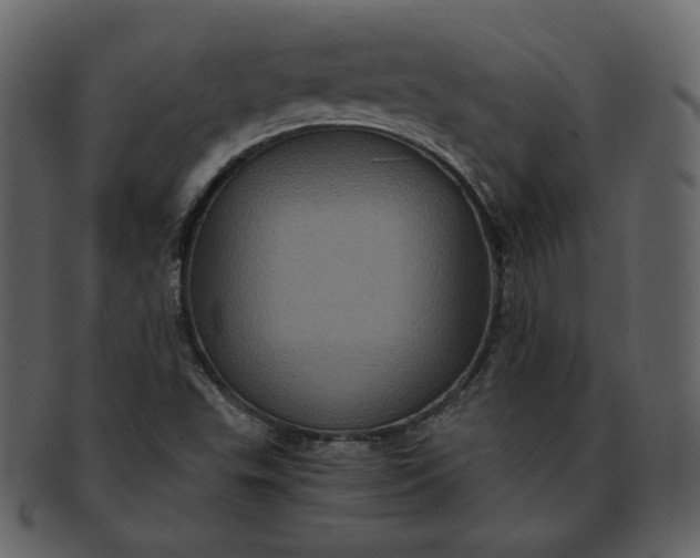 X0000092291503200710051152