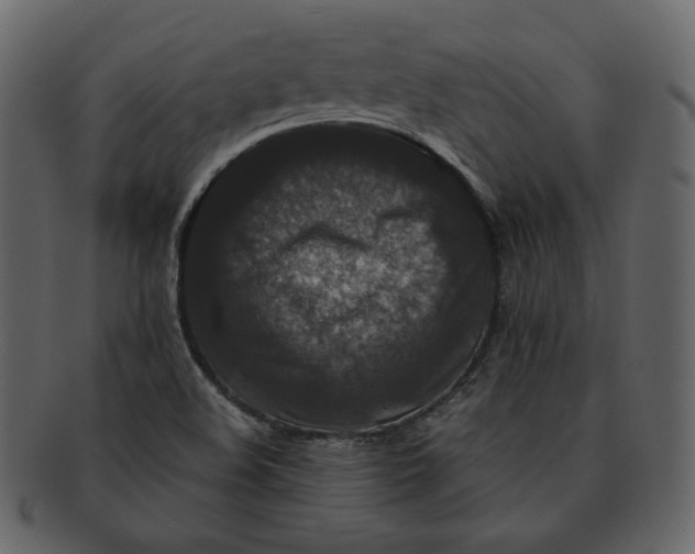 X0000092291508200710051152