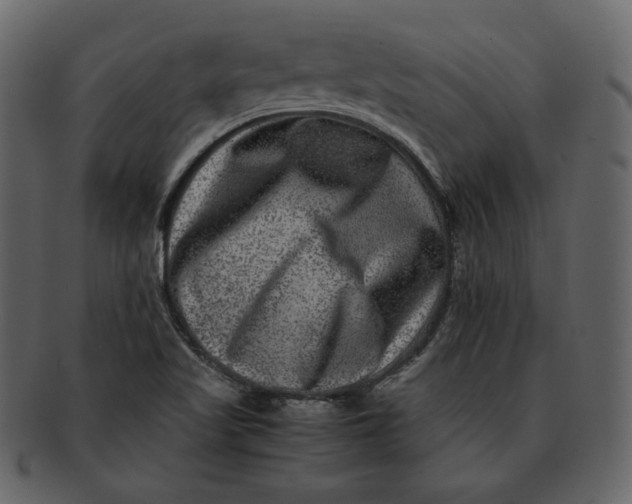 X0000092291509200710051152