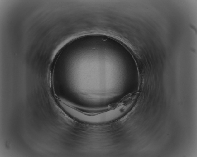 X0000092291510200710051152