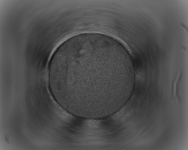 X0000092291514200710051152