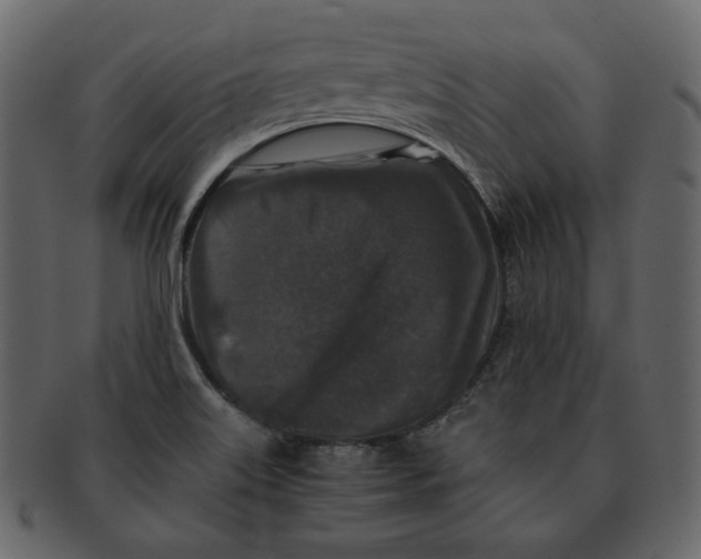 X0000092291515200710051152