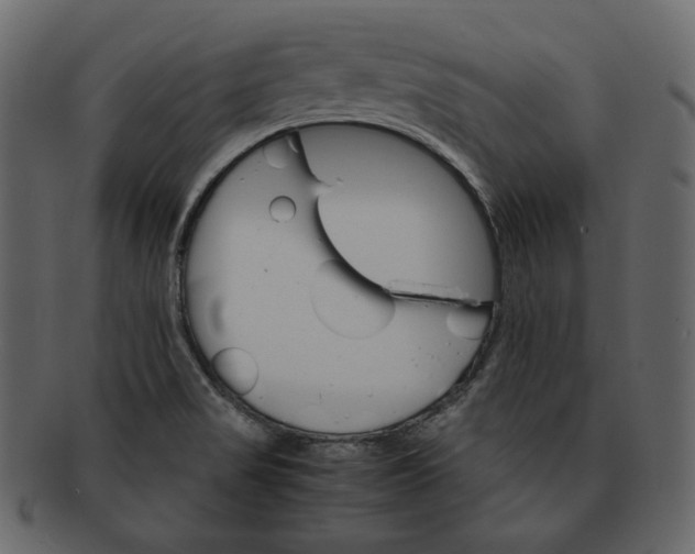 X0000092291517200710051152