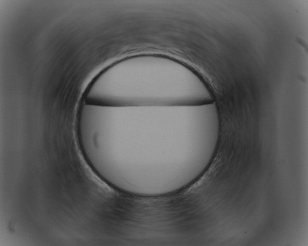 X0000092291518200710051152