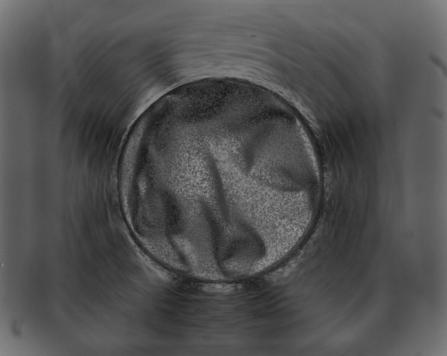 X0000092291521200710051152