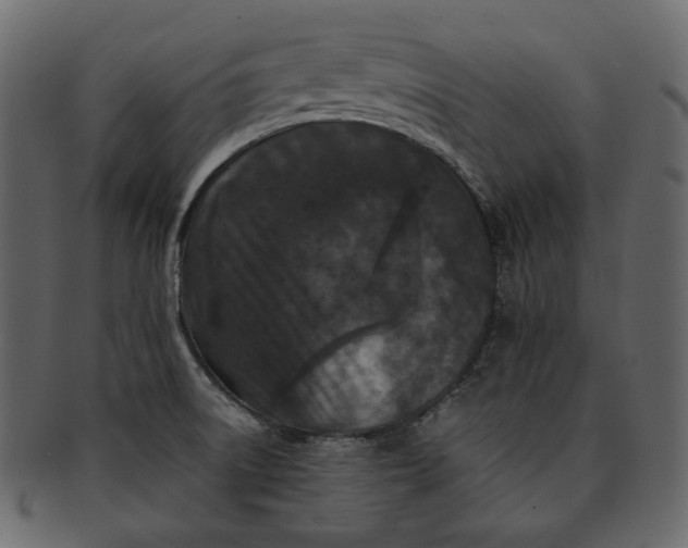 X0000092291522200710051152