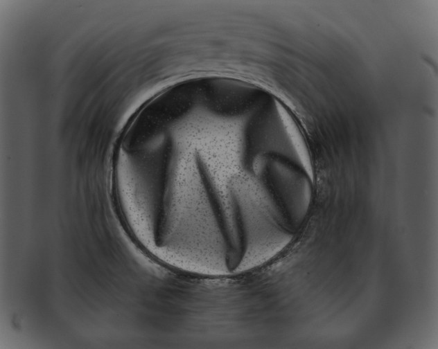 X0000092291523200710051152