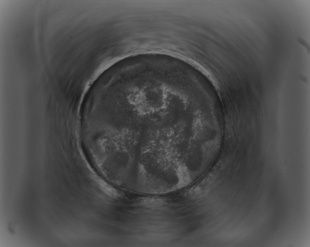 X0000092291525200710051152