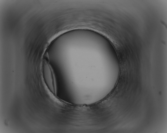 X0000092291526200710051152