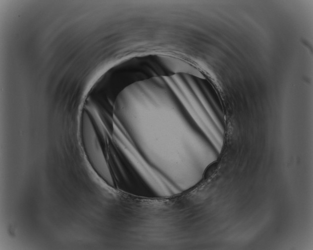 X0000092291528200710051152