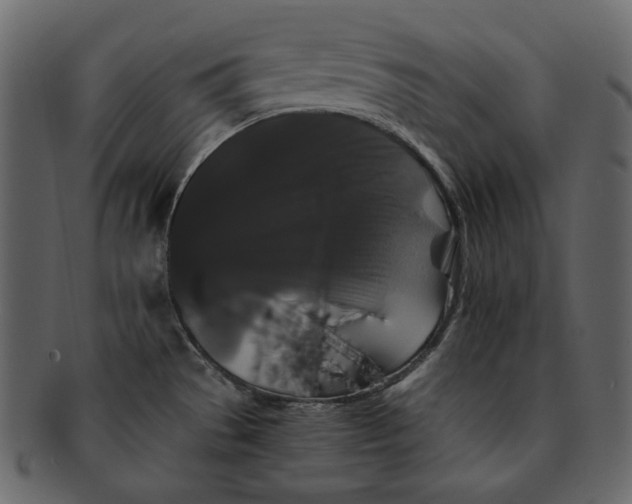 X0000092291529200710051152